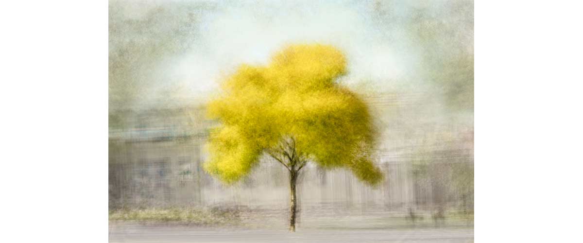 image taken by Cristina Runcan